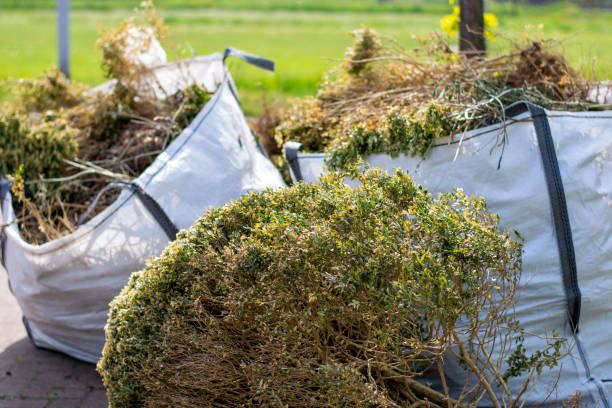 Belcourt, ND Junk Removal Services Pros