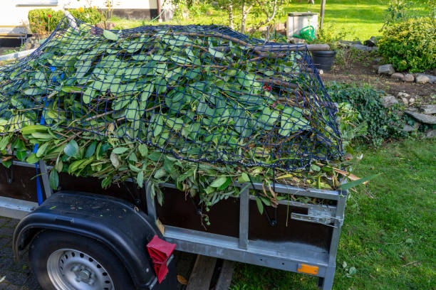 Best Recycling Services for Junk  in Belcourt, ND